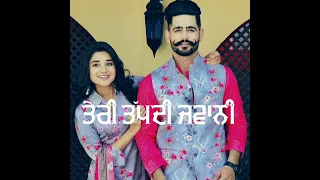 🔴Peg🍷Naal 🍳Namkeen Wargi🙌Gurnam Bhullar New punjabi song 2019 Official punjabi status