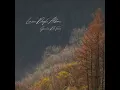 Linea Degli Alberi - Giulia De Serio