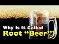 What Exactly Is Root Beer And Why Is It Called Beer