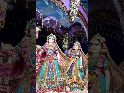 Today’s Darshan of Sri Sri Radhamadhava