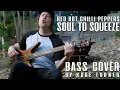 Download Lagu Red Hot Chili Peppers - Soul To Squeeze - Bass Cover - Kade Turner