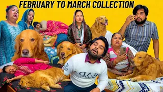 PeaNut’s Most Viral & Funny Moments Compilation