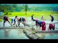 Download Lagu Asare Song (Chhupu Ma Chhupu) | Milan Lama