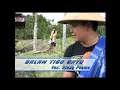 Lagu Balam Tigo Gayo - Ajhay Pasma - Album Remix Minang