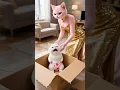 Download Lagu The little kitten got into trouble—Father Cat rushes to the rescue!😈🥺#kitten  #story  #cute