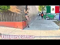 Beyond the Bustle Finding Charm in Tlalpan s Streets Mexico City