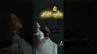 تريد طياحي دندنها