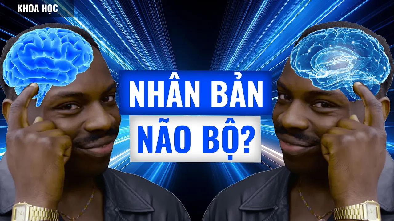 Outline Video BỘ NÃO THỨ HAI là gì và tại sao nó có thể TĂNG NĂNG SUẤT LÀM VIỆC TỚI MỨC KHỦNG KHIẾP? | Trường Sở