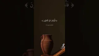 افضل مقاطع قرآن تيك توك تيك توك قرآن TIk TOK 