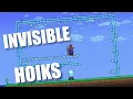 Invisible Hoiking Echo Blocks have limitless possibilities