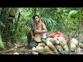 Download Lagu CEO masuk ke hutan untuk menggali rebung raksasa untuk memenuhi kebutuhan pangan mentah di hutan