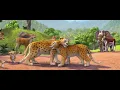 Safari  New Animation Movies 2026 Full English Movies - | A Small Cub, A Big World | Adventure Movie
