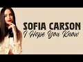 Sofia Carson - I Hope You Know (lyrics)