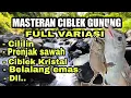 Lagu MASTERAN CIBLEK GUNUNG ISIAN FULL VARIASI