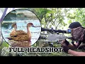 Download Lagu part 1⃣ BERBURU BELIBIS DI SPOT RAHASIA BIKIN PANEN. BORNEO SLUG. FULL HEAD SHOT