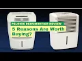 Pelonis Dehumidifier Review 5 Reasons Are Worth Buying