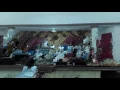 Adoración del grupo de la2 asamblea Emmanuel