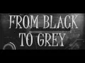 Download Lagu A Tribute To The Fallen - From Black To Grey Lyric Video