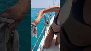 Cleaning the Stainless – Sailing Helios S03E12 Reel 1