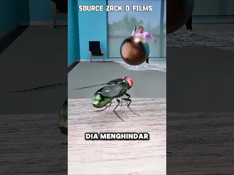 Kenapa Lalat Nggak Bisa Menghindari Peluru? 🤯