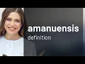 Amanuensis AMANUENSIS definition