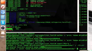 Train binary exploitation 5 FSE