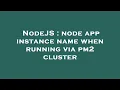NodeJS node app instance name when running via pm2 cluster
