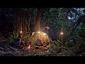 Download Lagu 48 uur kamperen in de wildernis. Overleven met garnalenjacht, bushcraft.