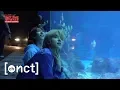 Download Lagu DOYOUNG X ATLANTA : Going to Aquarium! (Feat. JW) | NCT 127 HIT THE STATES