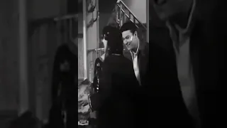 أموت في الشراني 