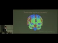 Donald Tournier Ph D Group analysis fixel-based analysis framework