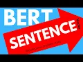 How to code BERT Word Sentence Vectors Embedding w Transformers Theory Colab Python