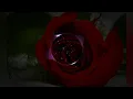 اغنيه قصى حاتم اليوم انت على بالي /لا تنسون اشتراك بالقناه /لايك 👍