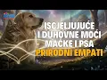 Download Lagu ISCJELJUJUĆE I DUHOVNE MOĆI MAČKE I PSA! PRIRODNI EMPATI: APSORBIRAJU NEGATIVNE ENERGIJE | ATMA