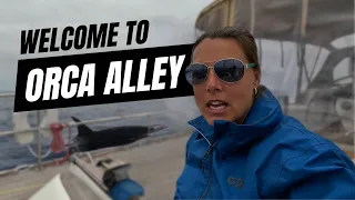 Entering the DANGER ZONE