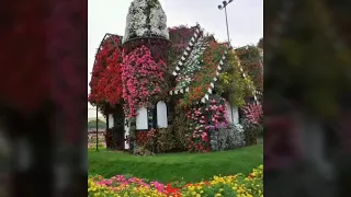 امي اغلى هدية من الرحمن 