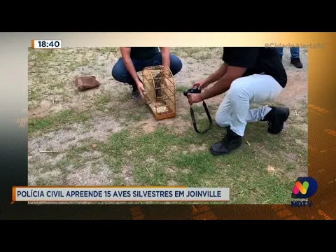 Polícia Civil apreende 15 aves silvestres em Joinville