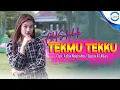 Download Lagu ADEL SALSABELA - TEKMU TEKKU (Official Music Video)