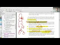 Software Engineering - Lecture 17