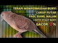 Download Lagu Perkutut Lokal Gacor Suara Super Kristal - Pancingan Malas Bunyi  (99%AMPUH BANGET)