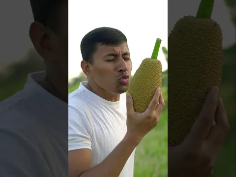 Chilli Baby Jackfruit Recipe | Funny Cooking Short Story | Village Style Ichor Cooking.