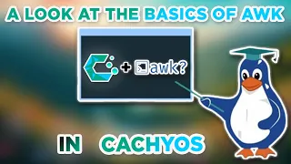 Learn awk Fast Linux Terminal Tutorial