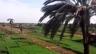 سلم علي لما قابلني   موسيقى دندنها