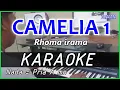 Download Lagu CAMELIA 1 - Rhoma irama KARAOKE DANGDUT COVER Pa800
