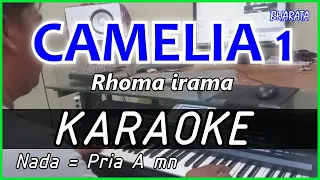 camelia 1 rhoma irama karaoke dangdut cover pa800