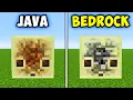 50 Minecraft Java vs Bedrock Things