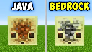 50 Minecraft Java vs Bedrock Things