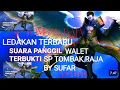 Download Lagu 💯VIRAL!! LEDAKAN Terbaru Di dunia Walet Sp TOMBAK Raja Revisi by sufar DNA king birahi TERBARU sufar
