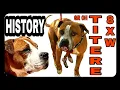 GR CH EL TITERE 8xW POR - Dog Fighting History