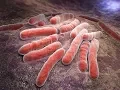 Tuberculosis testing for Nevada Health Facilities